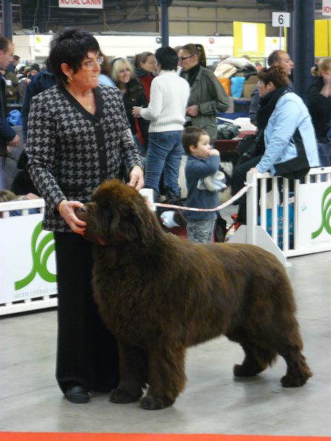 UNE SUPER RENCONTRE A PARIS DOG SHOW 2009.... P1050010