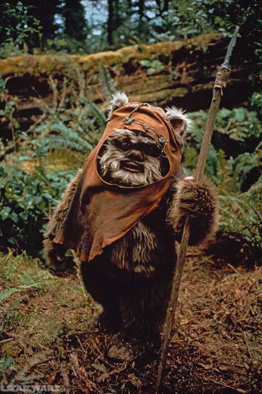 Yub Nub ! Ewok110