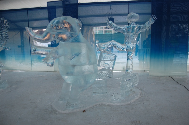 Photos de Sculptures : Winterlude à Ottawa Dsc_0025