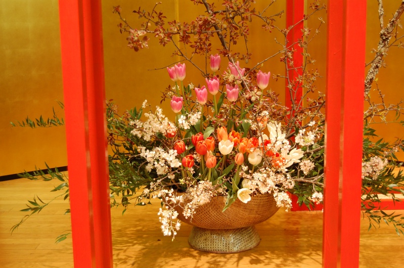 L’Ikebana - la journée de la terre l'amabassade du japon d'Ottawa Dsc_0066