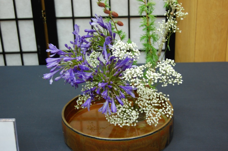 L’Ikebana - la journée de la terre l'amabassade du japon d'Ottawa Dsc_0071