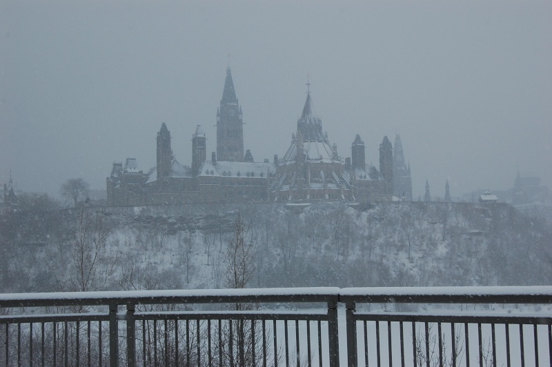 l'Hiver au Canada... une photo vaut mille mots! - Page 2 Dsc_0138