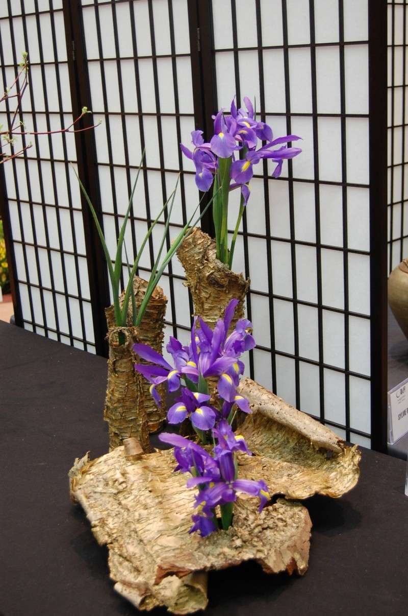 L’Ikebana - la journée de la terre l'amabassade du japon d'Ottawa Dsc_0142