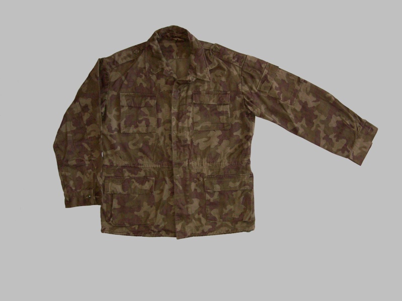 Types of Camo uniform for the Ministry of Defense - Page 2 100_8213