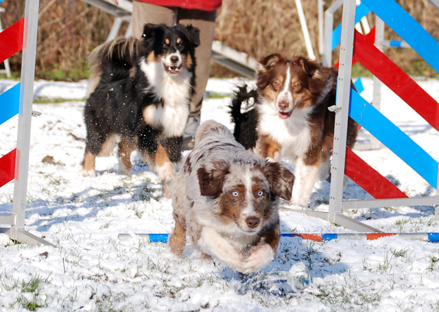 Les filles sous la neige. Dsc_0026