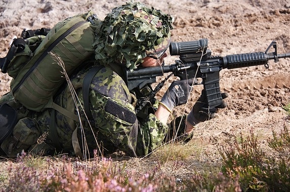 Photos de l'armée danoises. M410