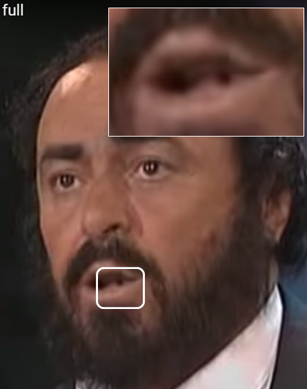 PAVAROTTI: UN REPTIL CON VOZ DE TENOR - Página 3 Cew11