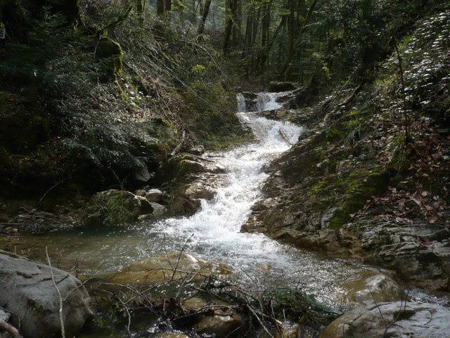 les niveaux d'eaux pour l'ouverture Haute_10