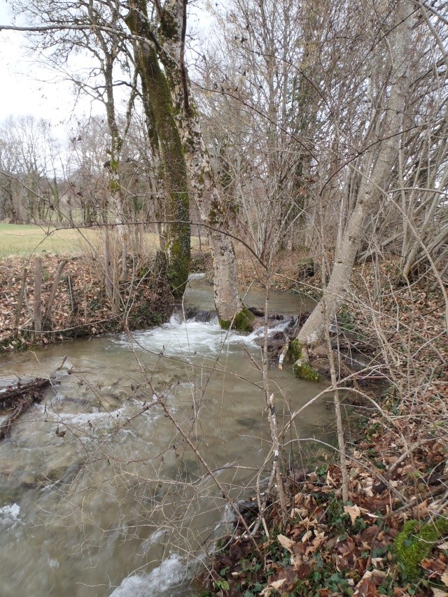 Rivières et ruisseaux en crue P1110018