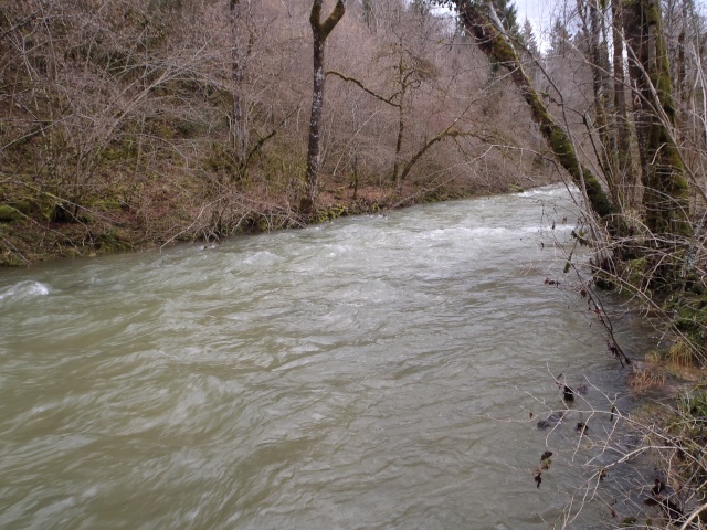 Rivières et ruisseaux en crue P1110027