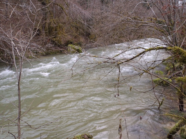 Rivières et ruisseaux en crue P1110028