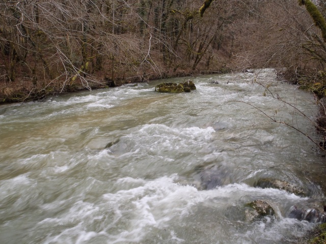 Rivières et ruisseaux en crue P1110029