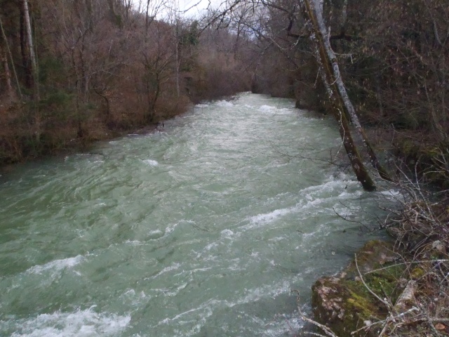 Rivières et ruisseaux en crue P1110033