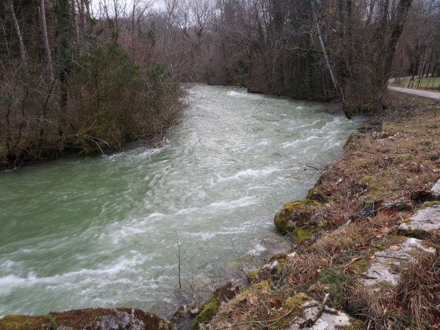 Rivières et ruisseaux en crue P1110034