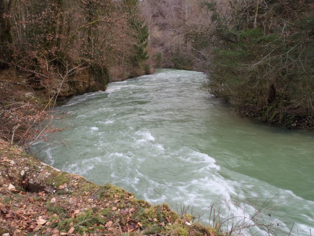 Rivières et ruisseaux en crue P1110035