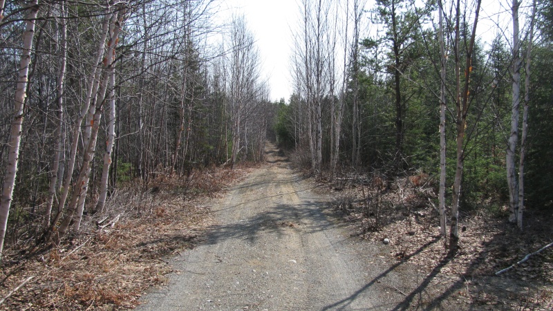 Camp de chasse au Québec. Img_0816