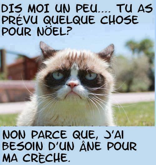 humour - Page 20 10255910