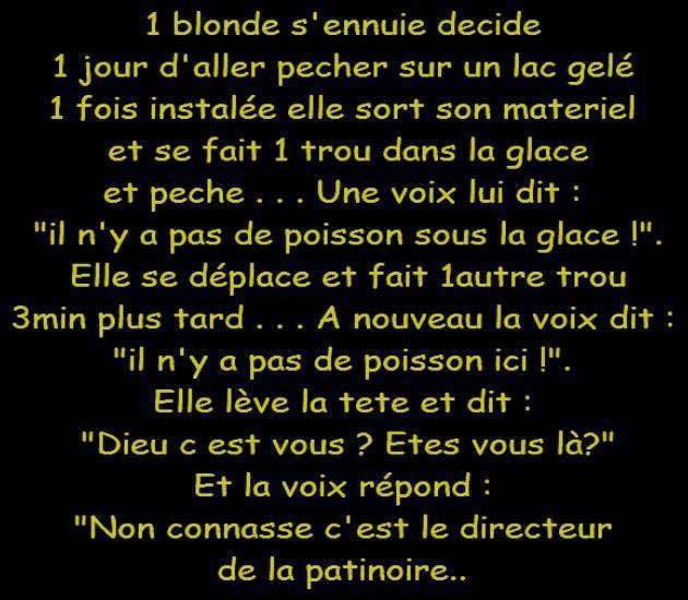 humour - Page 14 12308511