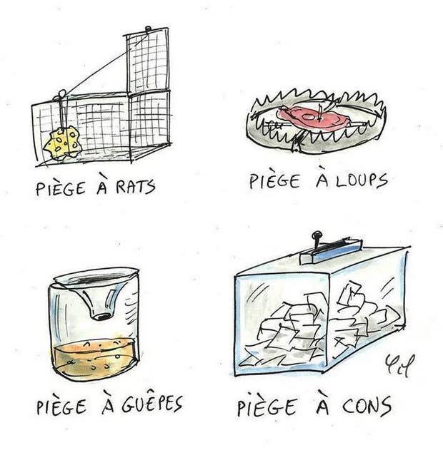 humour - Page 20 12359811
