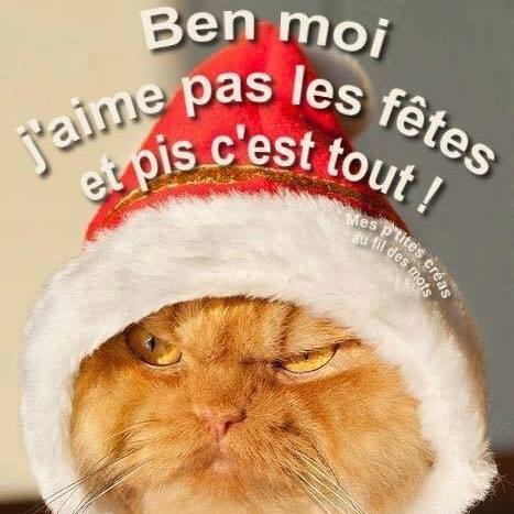 humour - Page 20 12360011