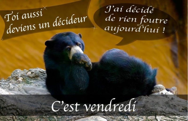 humour - Page 20 12369010
