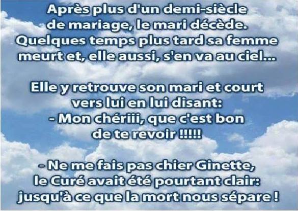 humour - Page 20 12373110