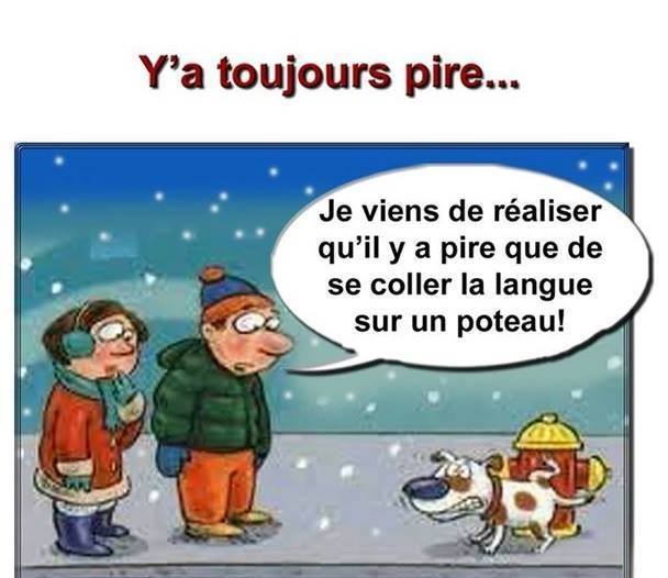 humour - Page 35 12400511