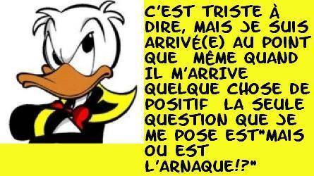 humour - Page 24 16047010