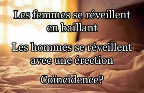 humour - Page 25 48055010