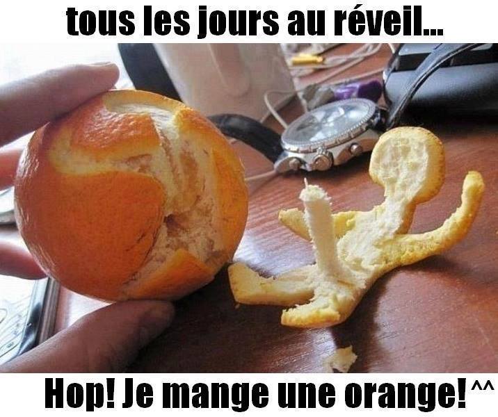 humour - Page 24 93405010