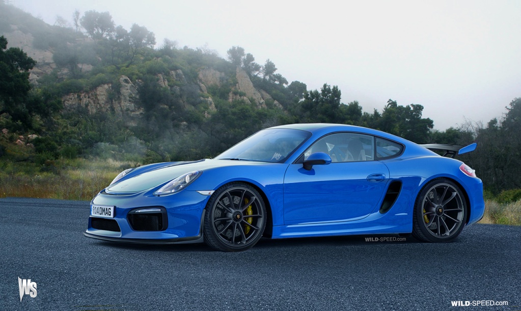 CAYMAN GT4 - Un croco qui a du mordant ! - Page 5 Gt4_ws10