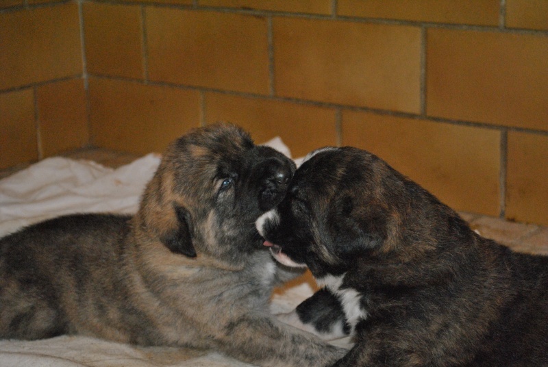 Adoption d'un Matin! Dsc_0010