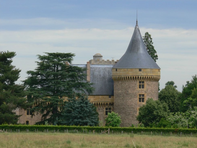 [hrp] - Le château de Boisy (commune de Pouilly-les-Nonains) Boisy310