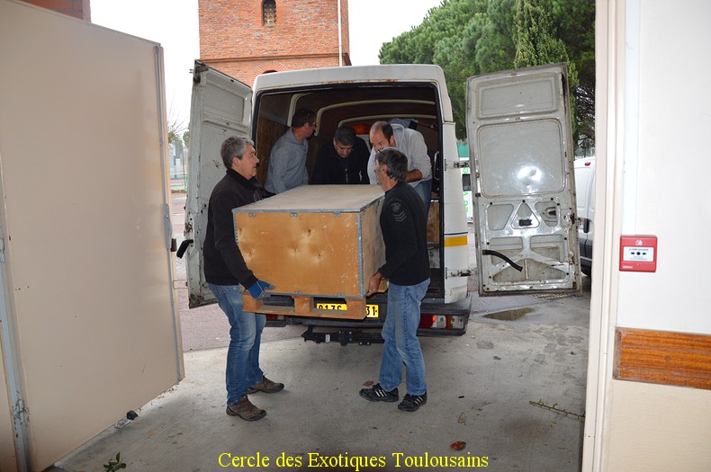 BOURSE DU CERCLE DES EXOTIQUES TOULOUSAINS 2015 Dsc_0014