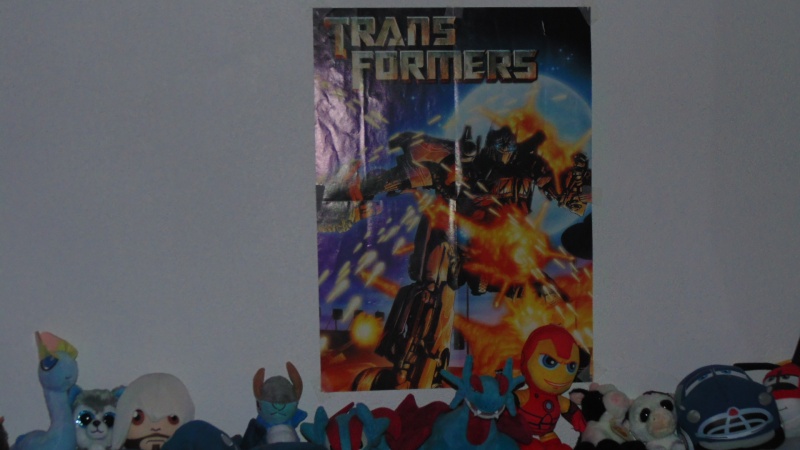 Vegeto / Optimus SG collection (partie 2) - Page 39 Dsc05827