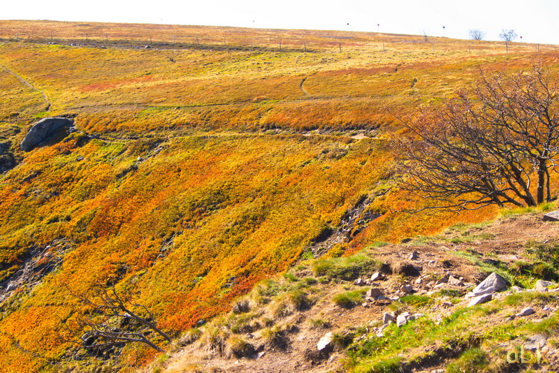 Du col de la Schlucht au Hohneck Hohnec24