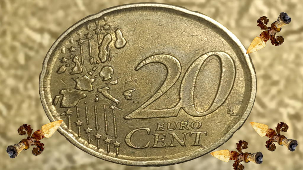 Moneda 20 Centimos de Euro 1999 Miguel de Crevantes. ERROR Revers10