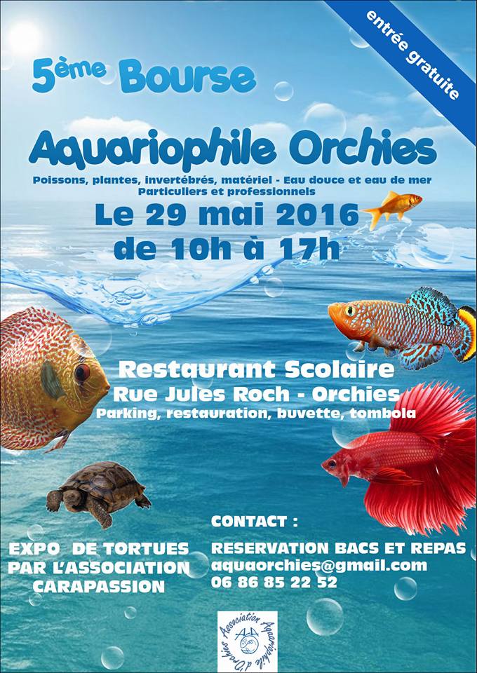 Bourse aquariophile Orchies Affich10