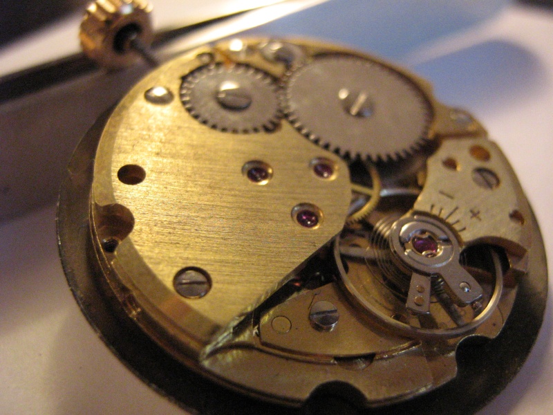EDOX Img_9410