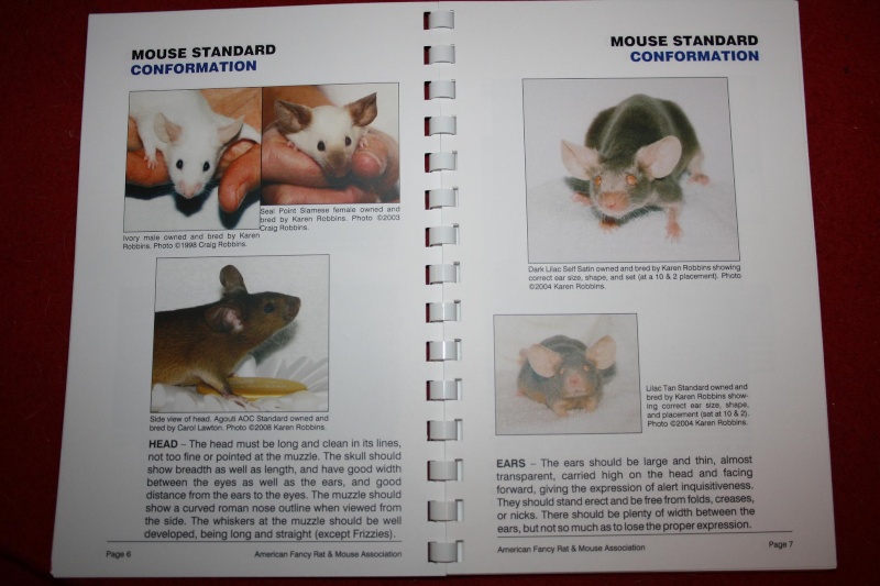 Les différentes morphologie chez les souris Livre10