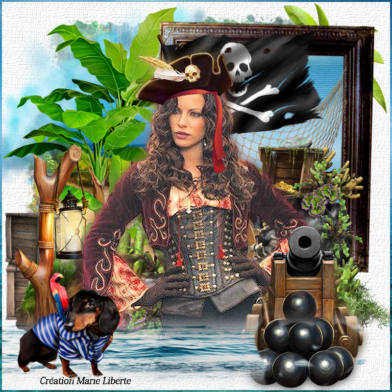 jolie pirate Kit_el11