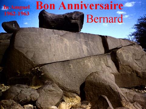 Bon Anniversaire Bernard Page 3 Bon Anniversaire Bernard Page 3