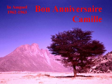 Bon Anniversaire Camille Page 2