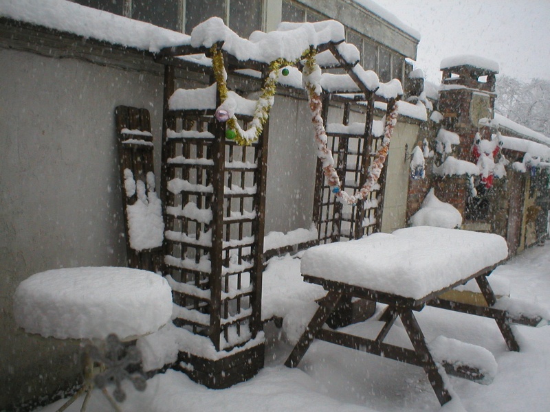 Quel temps fait-il chez vous ? - Page 5 P1010024