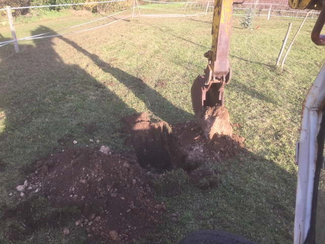 Plantation d'arbre fruitier 2015-132