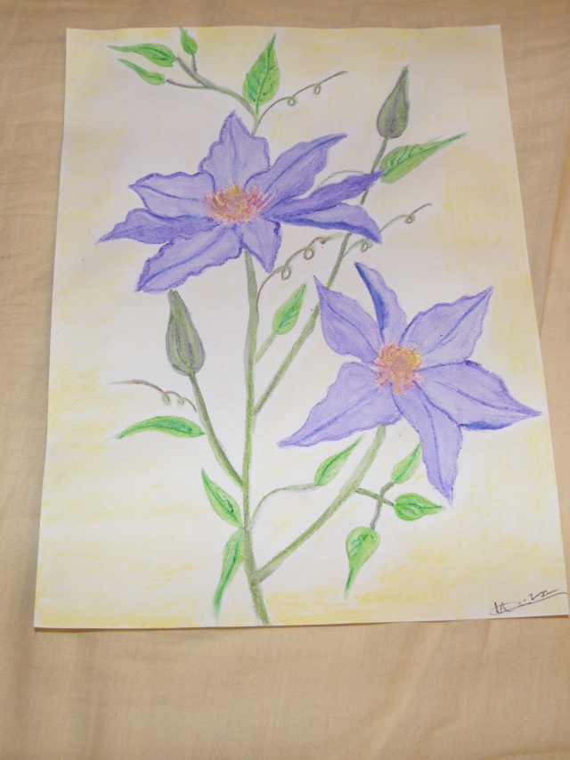 1ers essais aquarelle : fleurs [maj] Dscf1111