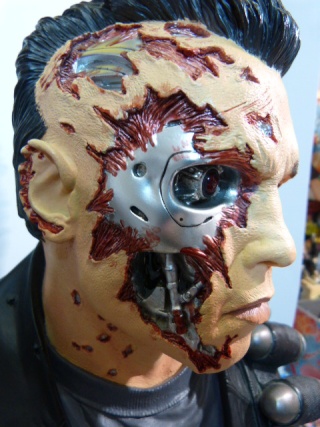 t- 800 repaint P1020115