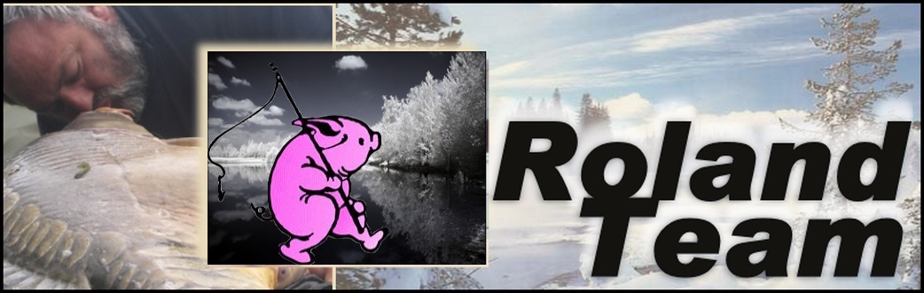 Roland Team