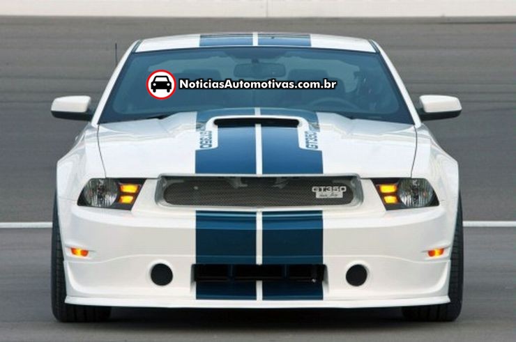 2009 - [Ford] Mustang - Page 3 Shelby12