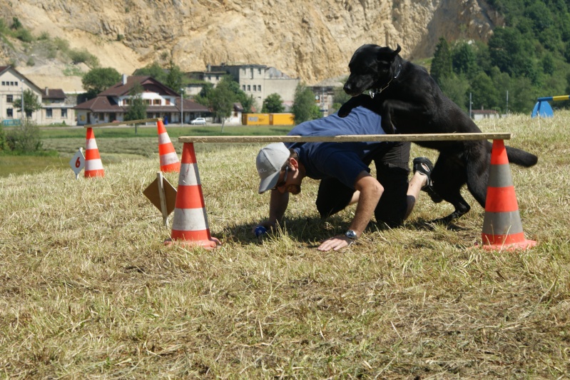 Concours humoristique Photo_50